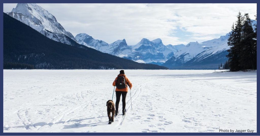 Winter Outdoor Activity Cross-Country Skiing