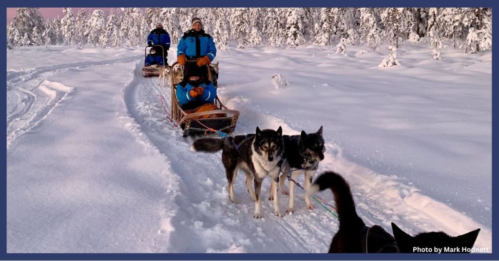 Dog sled